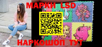 индика Гусь-Хрустальный