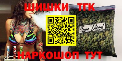 индика Гусь-Хрустальный
