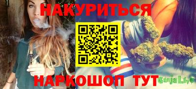 индика Гусь-Хрустальный
